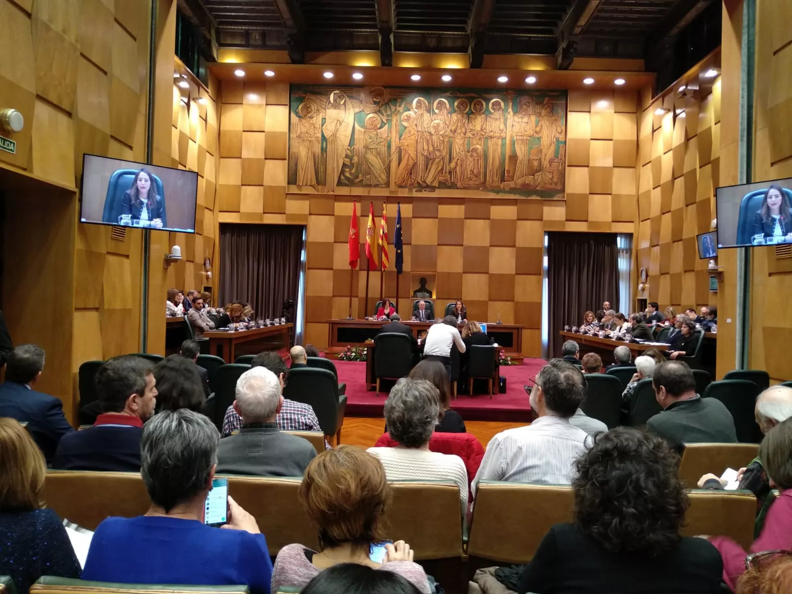 Comparecencia de la Presidenta de la FAS en el pleno del Ayuntamiento de Zaragoza, sobre el recorte de la Cooperación al Desarrollo en sus presupuestos.